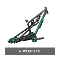 nucleon-am