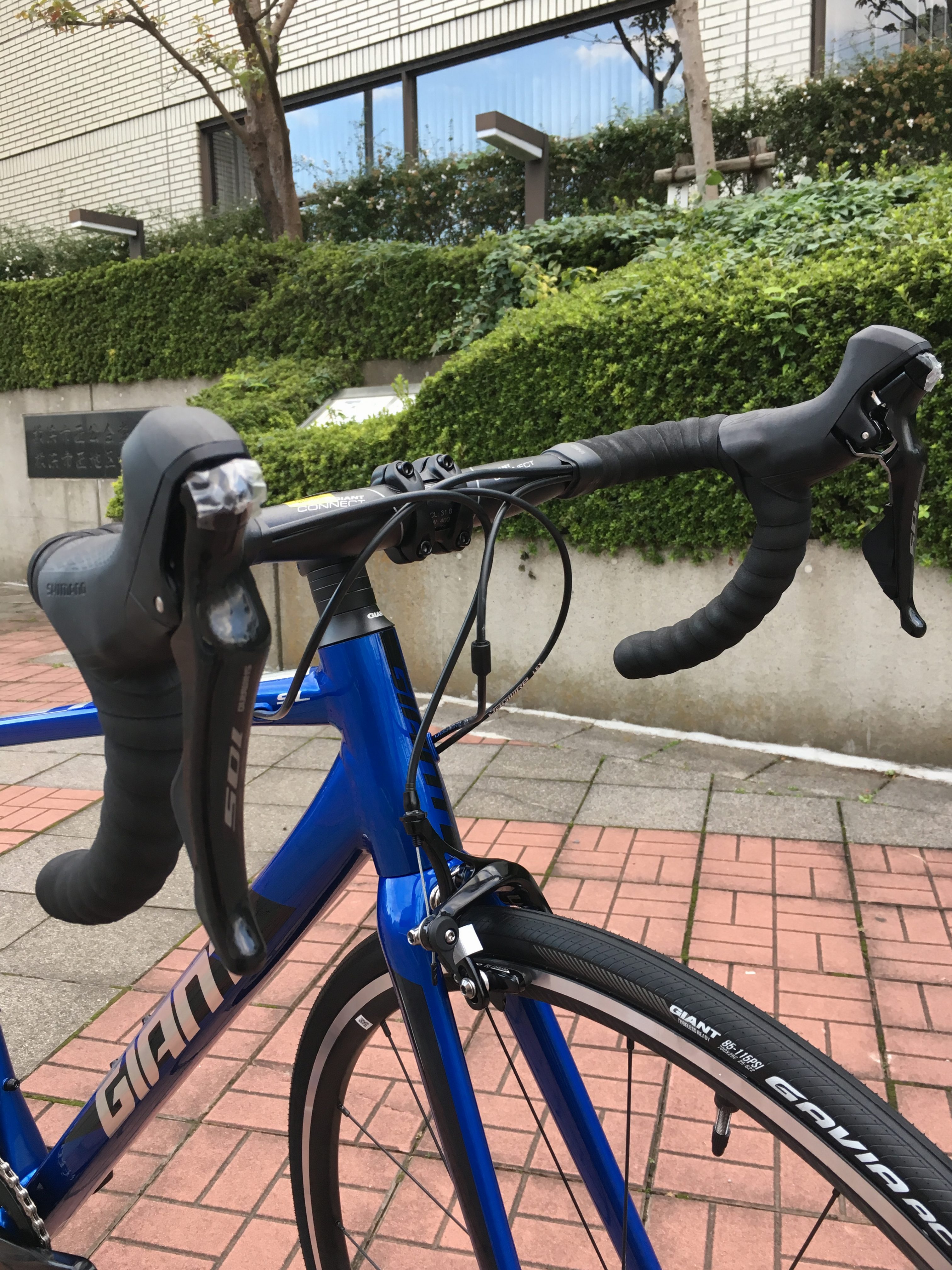 初めてのロードバイクにオススメ Giant Tcr Sl1 ジャイアント Tcr Sl 1 横浜 湘南のスポーツ自転車専門店 バイクポート