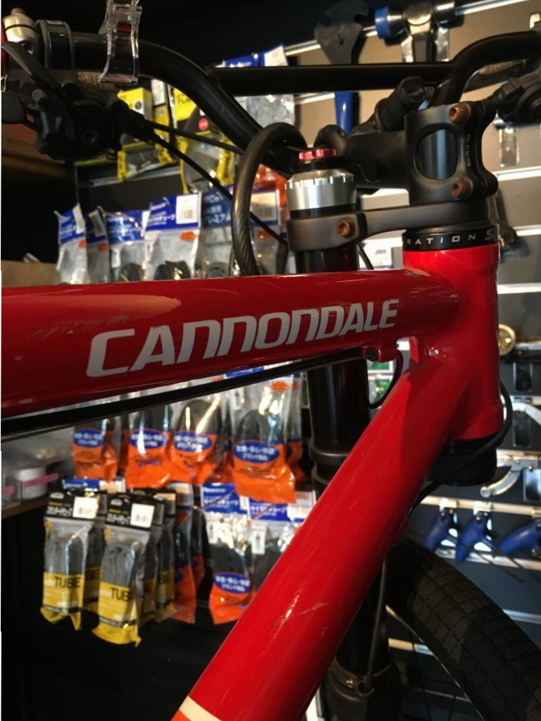 極細繊維クロス Cannondale レフティー用 29インチホイール前後