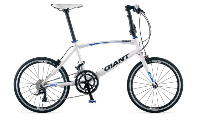 GIANT IDIOM