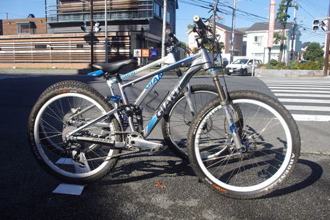 IMGP7534